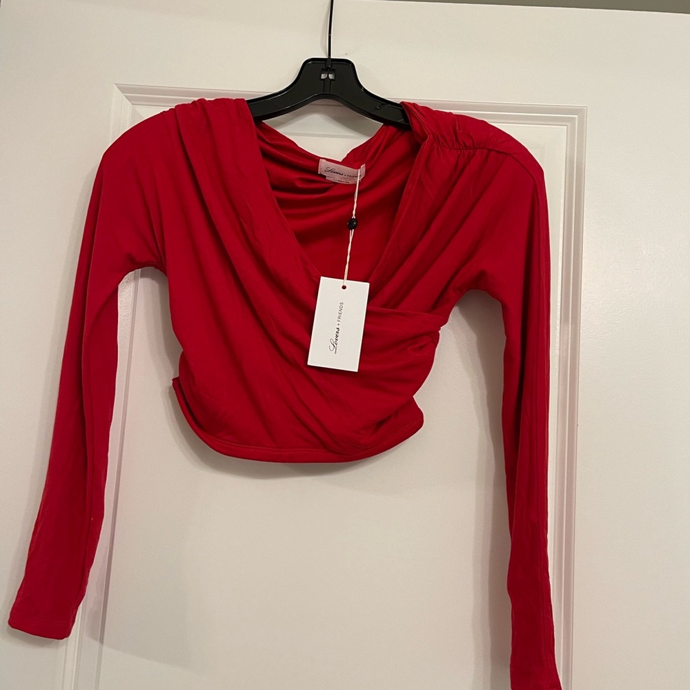 Lovers + Friends v plunge long sleeve top
